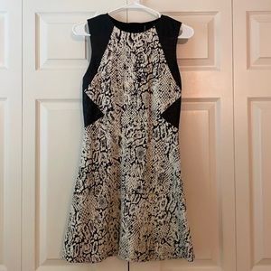 Leather and leopard dress!